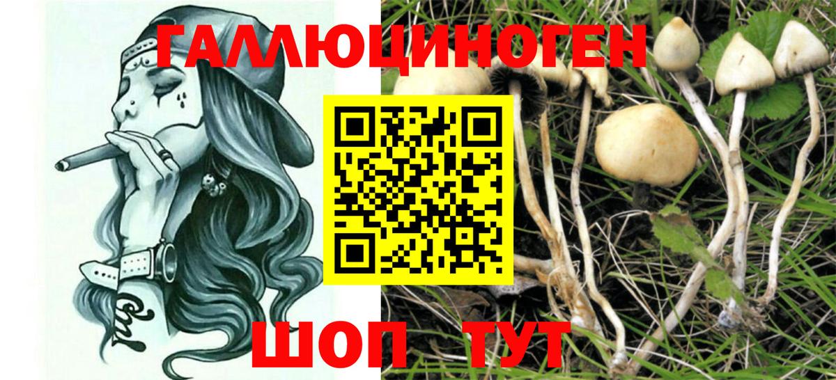 Галлюциногенные грибы Cubensis  Вход с VPN  Борисоглебск 
