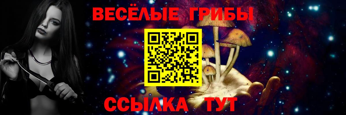 Псилоцибиновые грибы Cubensis Борисоглебск